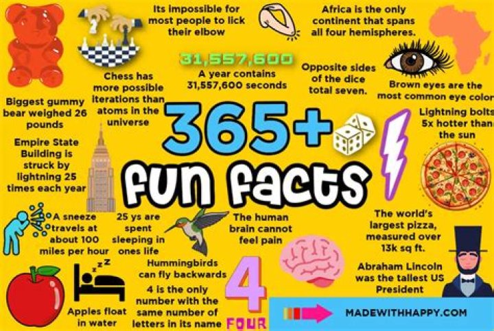 10 Interesting Facts You Didn't Know About Madelyn Cline