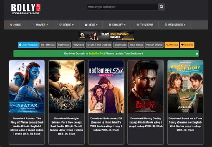 Bollyflex Movie: Your Ultimate Destination for Bollywood Thrills
