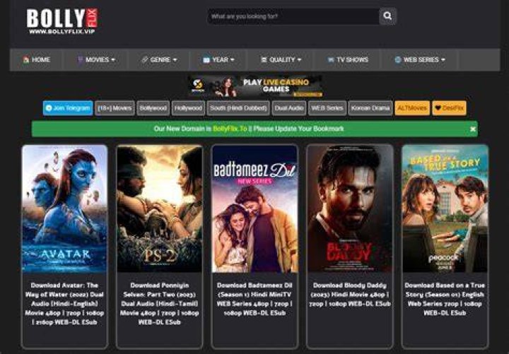 Bollyflix 300MB: Your Ultimate Guide to Streaming and Downloading Movies