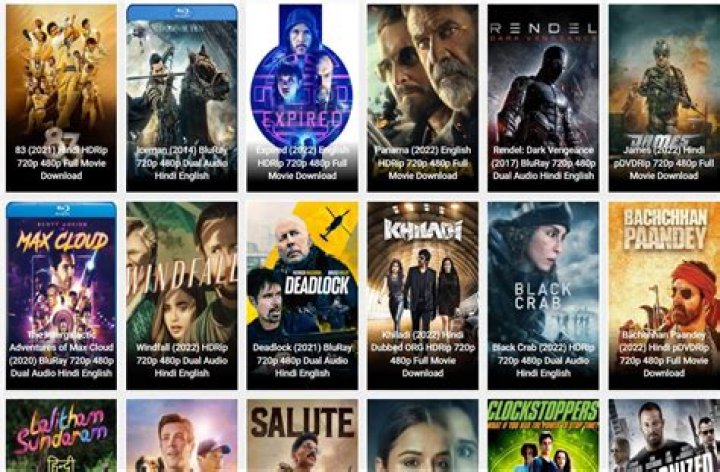 DownloadHub4u 2024: Your Ultimate Guide to Everything You Need