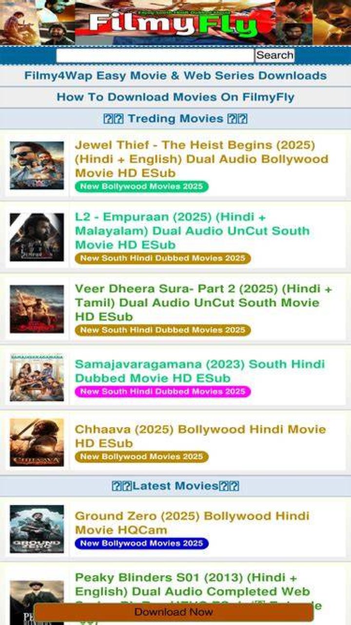 Filmy Fly.com 2025: Your Ultimate Guide to Stream Movies Like a Pro