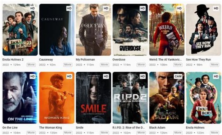 Filmy4Web Fly: Your Ultimate Guide to Streaming and Downloading Movies