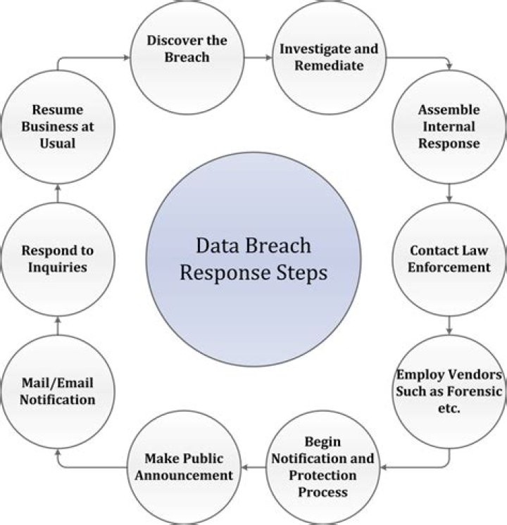 Jellybeans Brains Security Incident: Data Breach Details