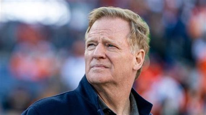 Meet Roger Goodell's Brothers: A Family Of Football