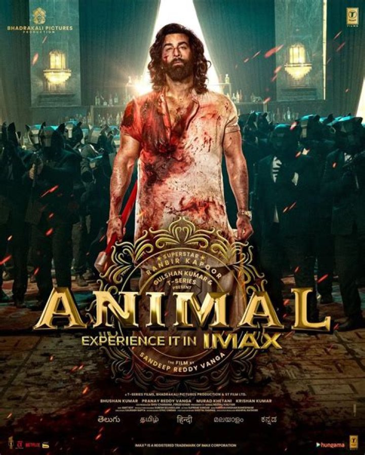 Migration Movie Download in Hindi BollyFlix: Your Ultimate Guide