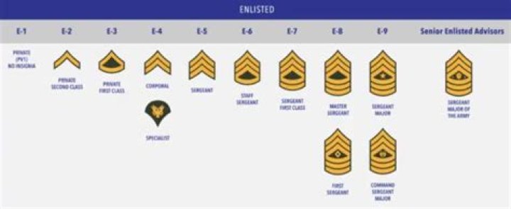 Military Ranks: From Private To General