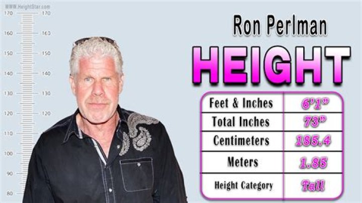 Ron Perlman Height and Weight: The Inside Scoop You've Been Waiting For