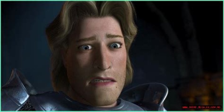 The Alluring Prince Charming: A Golden-Haired Icon From Shrek