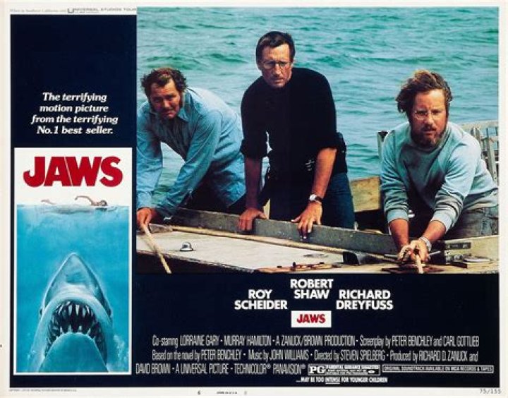The Iconic Cast of Jaws: A Deep Dive Into the Characters Behind the Classic Film