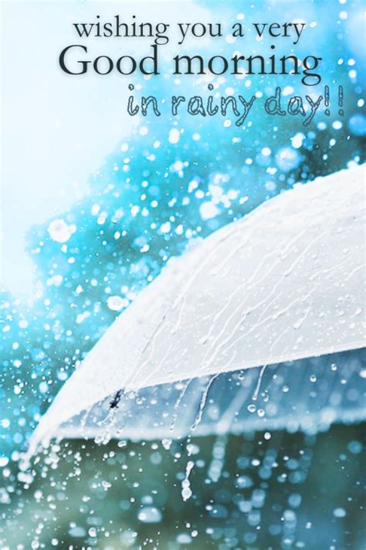 The Perfect Rainy Good Morning Images To Start Your Day