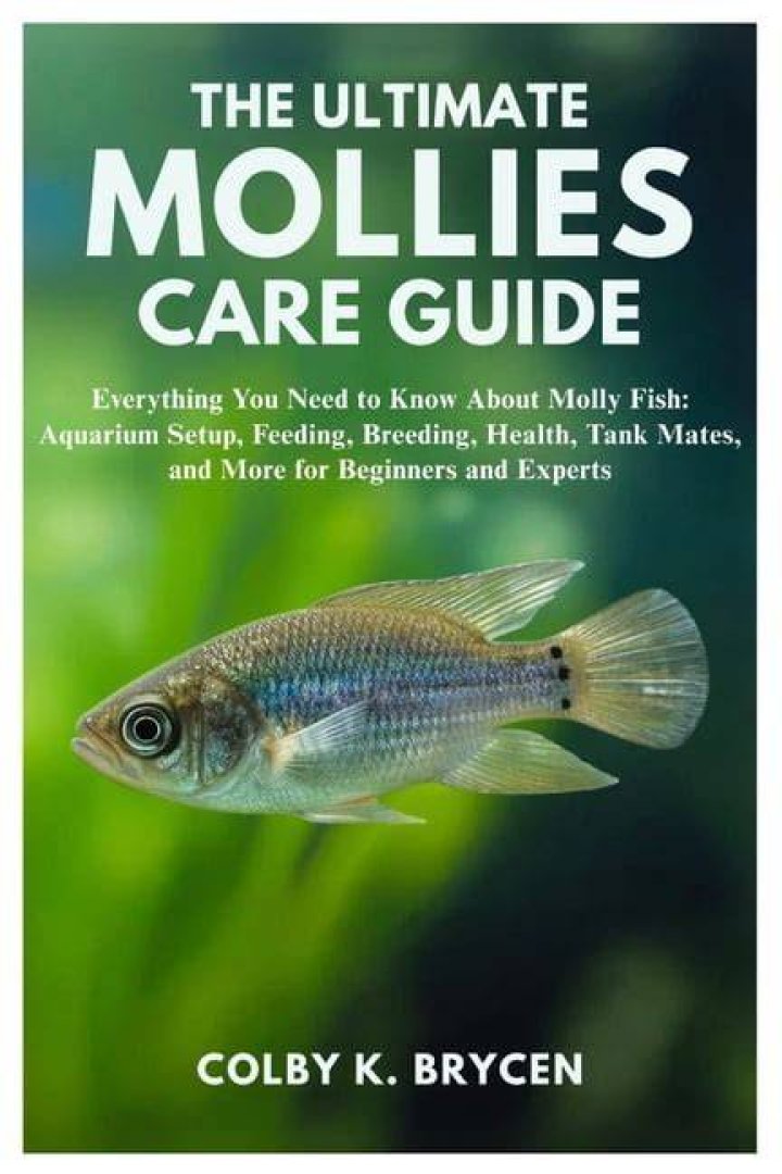 The Ultimate Guide To Molly Nobligg: Everything You Need To Know