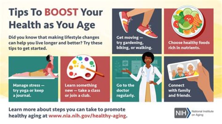 Unlocking the Power of Vegamovei: A Revolutionary Way to Boost Your Health