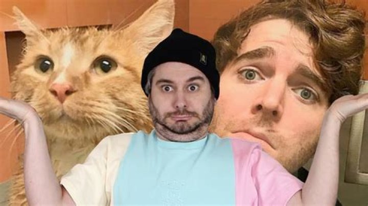 What Did Shane Dawson Do to His Cat Video: A Comprehensive Look