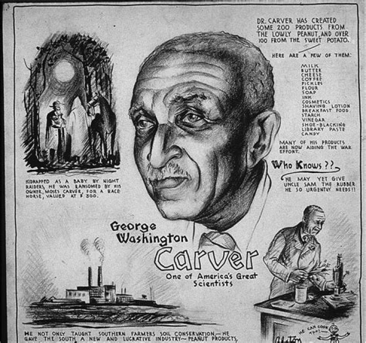 When Was Emily Carver Born? Discover Her Date Of Birth