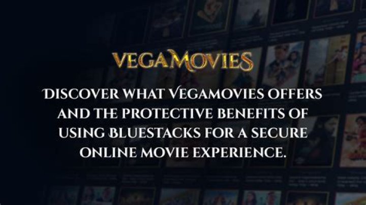 Why Vegamovies.ist is the Ultimate Destination for Movie Buffs