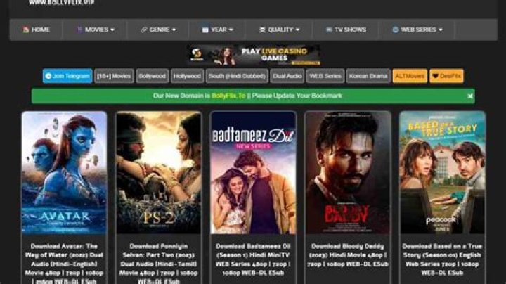 www.bollyflix.com 2025: Your Ultimate Guide to Streaming Bollywood Movies