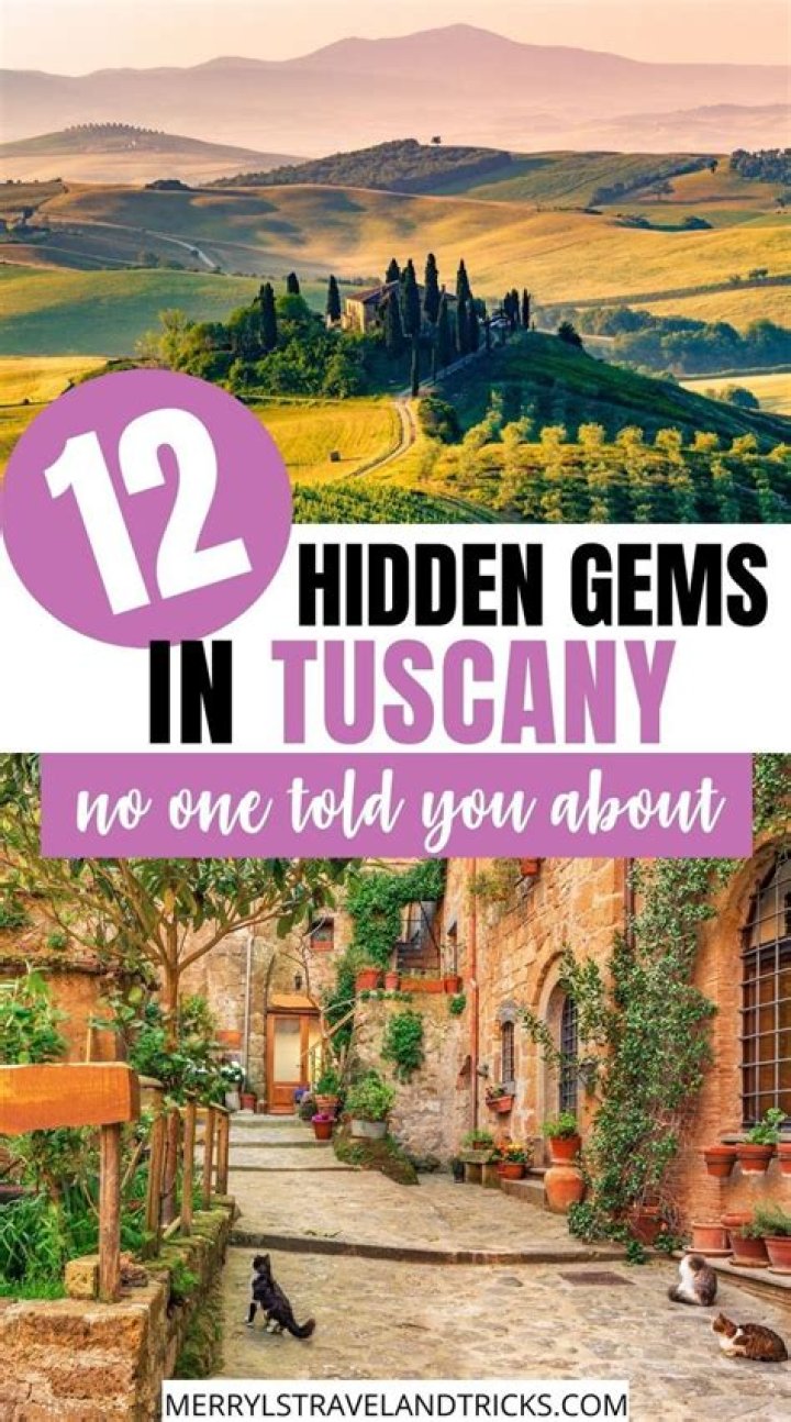 Xmaza Com: Your Ultimate Guide to Discovering the Hidden Gems of Online Entertainment